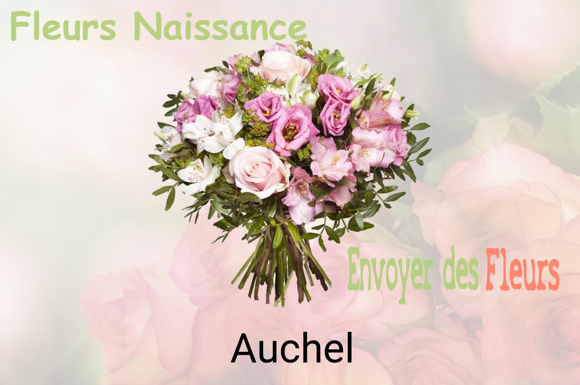 Bouquet de fleurs de naissance livré à Auchel
